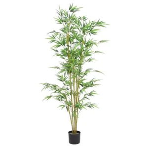 Unbranded Artificial Real Touch Bamboo Tree in Black Matte Pot 72" Plastic Green - Picture 1 of 2