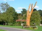PHOTO  WOODEN SCULPTURE FISHPONDS THE TRUNK OF THE CARVED SCULPTURE HAS FACES AN