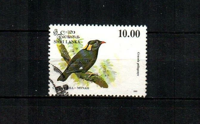 SRI LANKA Scott's 1082 Ceylon Hill-Mynah Bird F/VF used ( 1993 )  - Image 1 of 1