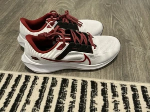 Nike Zoom Pegasus 40 Arkansas Razorbacks Laufschuhe DZ5991-100 Herren Größe 9,5 " - Bild 1 von 7