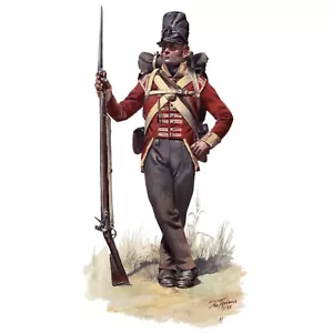 Past Patterns 0040 - Napoleonic Era British Army Jacket Pattern for 46" Chest - Picture 1 of 3