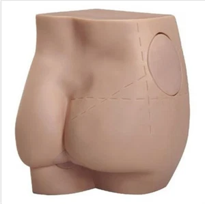 Hip Intramuscular Injection Simulator Training Model NEW Buttocks  - Picture 1 of 7