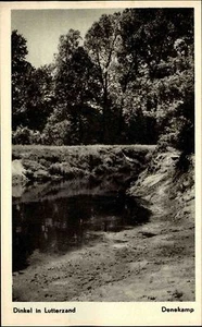 Denekamp Niederlande Holland ~1950/60 Dinkel in Lutterzand Waldpartie am Fluss - Picture 1 of 2