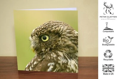 Eco Friendly Blank Greeting Card: Little Owl Bird Of Prey | Nature | Wildlife - Image 1 of 4