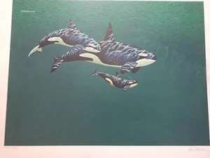 Richard Ellis,"KILLER WHALES" signed ARTIST PROOF  Colotype  18" X 24" 1981 - Picture 1 of 8