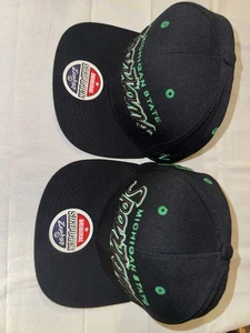 (2) Michigan State Spartans Zephyr Snapback Hats - Brand New With Tags - Picture 1 of 8