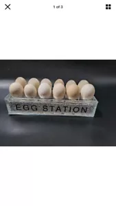 CRUSH DIAMOND EGG RACK EGG HOLDER NEW HOLDS 12 EGGS BLING KITCHEN - Picture 1 of 1
