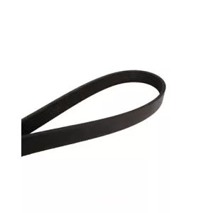 Cinturón Serpentine Cadna 940K4 - Imagen 1 de 1