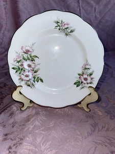 Royal Albert " Wild Rose " Friendship Serie Speiseteller - Bild 1 von 4