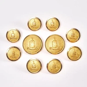Waterbury Button Co Tono Dorado Estilo Militar Escudo Escudo Go on Forever Lote de 10 piezas - Imagen 1 de 4
