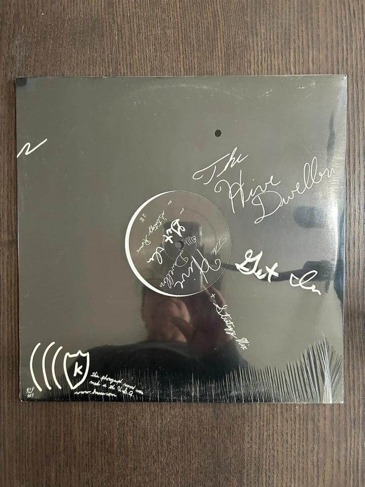 Get in by Hive Dwellers (Record, 2010) 12" LP Foto 1 de 2