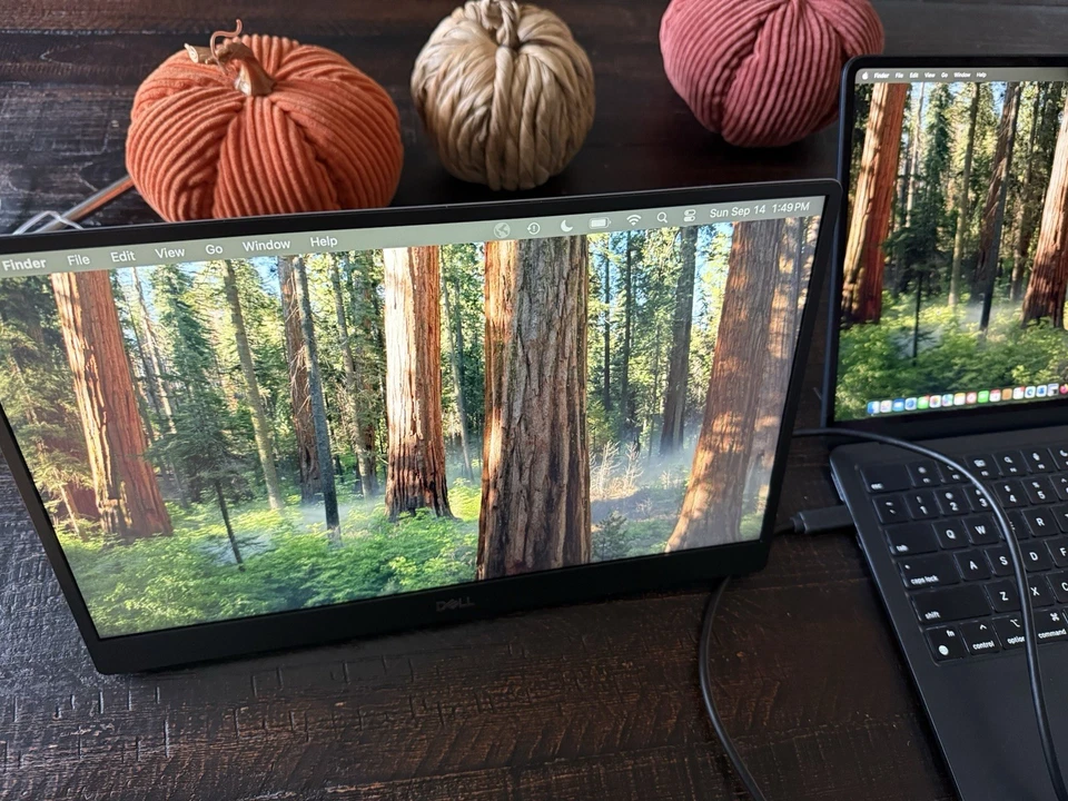 Dell P1424H 14'' 1080p FHD IPS LCD Portable Monitor - Image 1 of 3