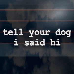 TELL YOUR DOG I SAID HI Sticker 200mm funny pet car vinyl decal - Picture 1 of 2