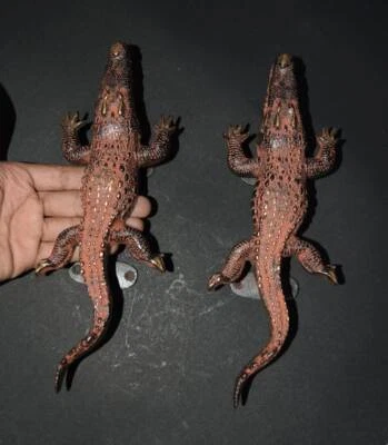 鳄鱼形门把手黄铜鳄鱼门拉手工户外五金 — 第 1/4 张图片