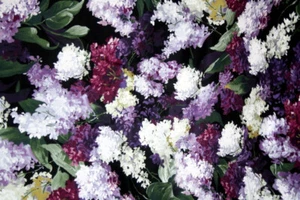 LILAS EN BLANCO Y MORADO DE MICHAEL MILLER - TELA 100% ALGODÓN - Imagen 1 de 6