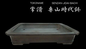 Japanische Bonsaischale TOKONAME NEZU unglasiert rechteckig extra groß B47cm SENZAN - Bild 1 von 8