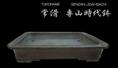 Japanese Bonsai pot TOKONAME NEZU Unglazed Rectangular Extra large W47cm SENZAN - Image 1 of 4