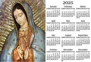OUR LADY OF GUADALUPE VIRGIN MARY 8 OFFICE KITCHEN FRIDGE 2025 CALENDAR MAGNET - Picture 1 of 1