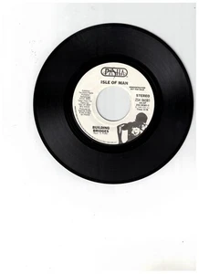 Isle Of Man POP ROCK 45 (PASHA ZS4 06581) Building Bridges PROMO NM+ - Picture 1 of 2