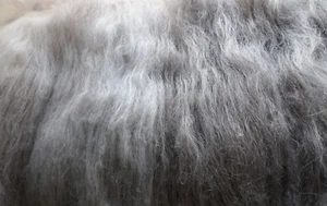 Graue Wolfsmischung gekrempelte Wollfledermaus unyedd natürliche Shetlandwolle Tier Filz Spin - Bild 1 von 9