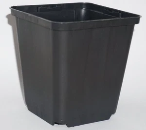 Pflanztöpfe eckig 9x9x9,5cm 100 Stk.Göttinger Anzuchttöpfe - Bild 1 von 1