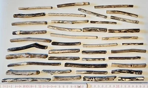 40 Stück gemustertes Treibholz Schwemmholz Driftwood Äste Terrarium Deko Basteln - Bild 1 von 4