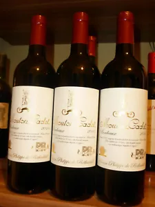 Chateau Mouton Cadet 2010 Grand Cru - Bild 1 von 2