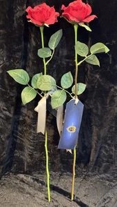 Disney CLUB 33 La Bella y la Bestia 25 Aniversario Evento Rosas EXTREMADAMENTE RARO - Imagen 1 de 6