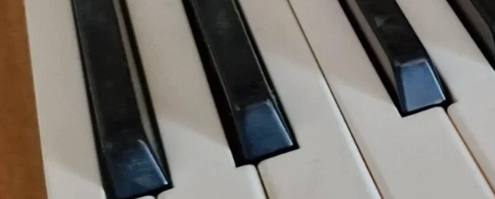 4x Roland Taste für JD800 D70  KR 33 500 55 U20 Rhodes 660 760 - Bild 1 von 1