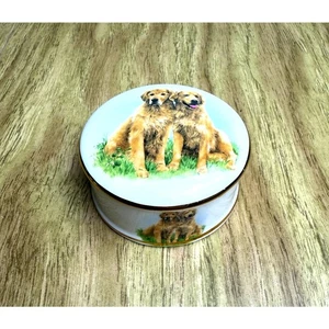 Vintage MacDonald Fine Bone China Golden Retriever Schmuckschatulle  - Bild 1 von 5