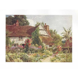 BISLEY Surrey, A Cottage near the Village - Antique Print 1906 - Bild 1 von 1