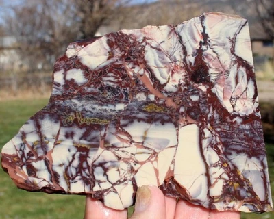 LOSA DE JASPE DE PORCELANA MEXICANA 195 gramos Espécimen/gema/cabina/ágata/roca/mineral Foto 1 de 2