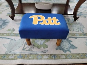 Pittsburgh Panthers otomana 15,5" x 10,5" x 10" - Imagen 1 de 6