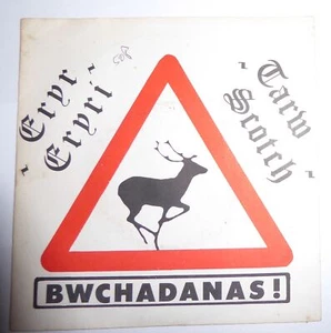 Bwchadanas: Eryr Eryri. '83 UK Welsh Femme DIY SRT (S83CUS1825) Acid Folk Psych - Imagen 1 de 3