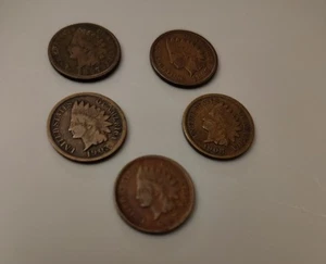 Indian Head Penny Lot 5 Münzen - zirkuliert ungradiert 1903, 1907, 1908, 1897 (2) - Bild 1 von 12