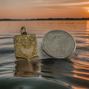 Viktorianischer gerollter Goldschild 5-seitig geformte Wirbel & Blumen Medaillon Anhänger Anhänger - Bild 1 von 10