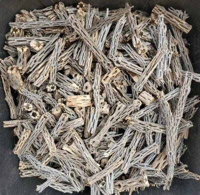2+ LBS CHOLLA Wood CUTOFFS | Whole Pieces Split Halves Bits | Aquarium, Crafts - Image 1 of 4
