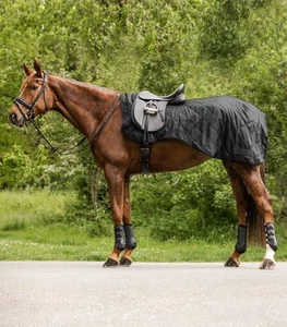 Nierendecke Ausreitdecke 50g Füllung EXCLUSIVE Waldhausen schwarz Pony Cob Full - Imagen 1 de 2