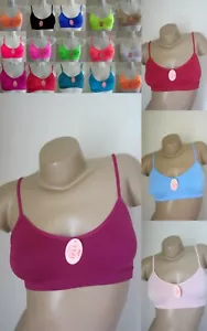 SG/BRASSIÈRE SANS COUTURE MICROFIBRES 75 à 105 B Couleurs au Choix - Imagen 1 de 19