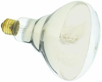 Satco Products S4999 250R40 Medium Base 1 Clear Heat Lamp - Image 1 of 4