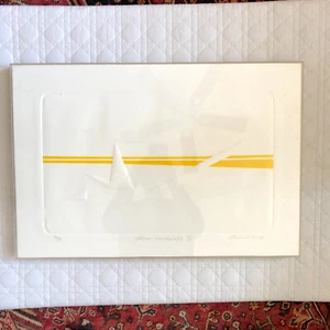 Stampa artistica anni 70 / Yigal Zemer paesaggio giallo IV 1972 / cornice acrilica / acquaforte - Foto 1 di 14