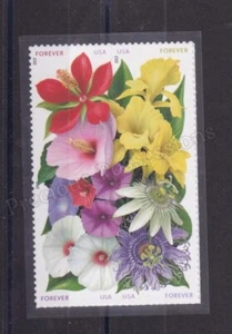 USA SG MNH SET FRANCOBOLLI COME NUOVI BLOCCO DI 4 2013 FIORI DELLA FLORIDA US SC#4750-4753 - Foto 1 di 1