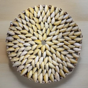 VTG  Cowrie Seashell Shell Trivet Coaster Nautical Cottage Boho Wall Decor  6” - Picture 1 of 5