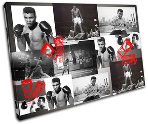 Ali Boxhandschuhe kultige Prominente LEINWAND WANDBILD Bild Druck VA - Bild 1 von 1