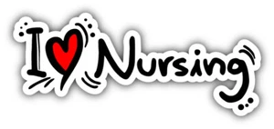 Ich liebe Krankenpflege Spruch Auto Autoaufkleber Aufkleber - "GRÖSSEN" - Bild 1 von 1