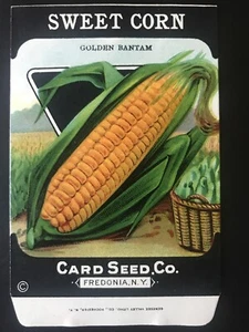 1920er Litho Antik Vintage Card Seed Co. Paket Packung Zuckermais Golden Bantam - Bild 1 von 2