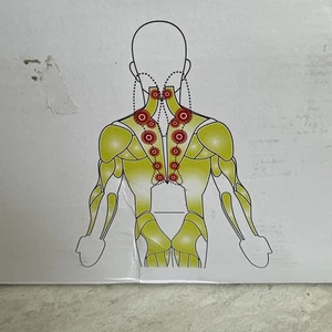 LittleMum Trapezius Trigger Point Massager, Myofasical Release Neck and Shoul... - Picture 1 of 10