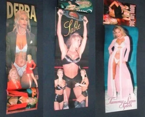 Beauties of Wrestling #36 Sable Debra Tammy Lynn 8 WWE Divas Huge Posters 1999 - Picture 1 of 9
