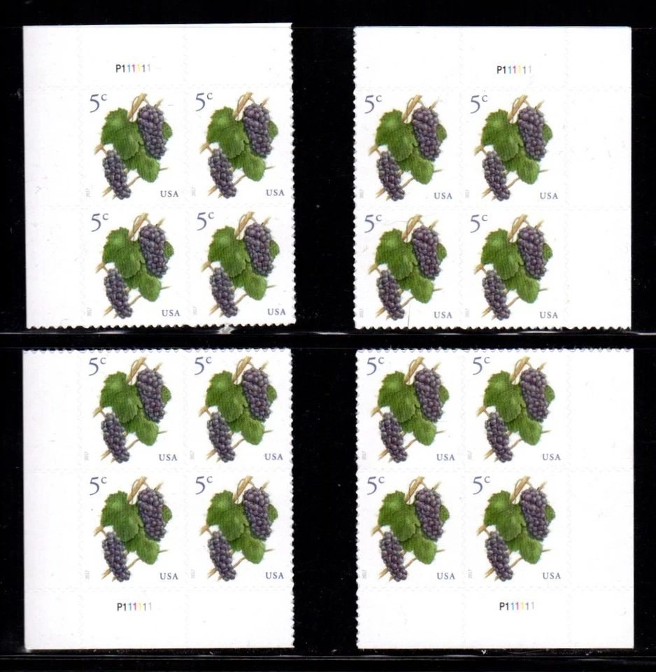 #5177 2017 Grapes Plate Block/4  - MNH - Image 1 of 1
