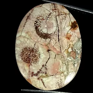Natural Oval Bird Eye Jasper Gemstone 21.60 Cts Wirewrap Cabochon 22X30X4MM - Picture 1 of 6